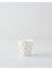 Herbal New Bone China Bardak 230 ml Beyaz - Yeşil 1