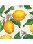 Lemons Cocktail Napkin - Pack Of 20 1