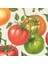 Tomato Cocktail Napkin Pack Of 20 1