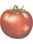 Tomato Place Card Pack Of 12 1