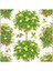 Citrus Topiaries Paper Luncheon Napkins In White 20 Per Package 1