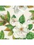 Magnolia Cocktail Napkin - Pack Of 20 1