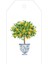 Lemon Topiary Gift Tags 4 Per Package 1