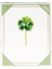 Palms Foil Boxed Note Cards 10 Cards And 10 Envelopes Per Package 1