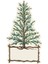Cedar Tree Table Accent Pack Of 12 1