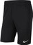 Dri-Fit Park CW6152-010 Erkek Şort 3