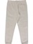 Core Arch Pant Gri Erkek Eşofman Altı 4