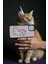 Apple iPhone 11 Pro Uyumlu Sevimli Kedi Marie Baskılı Silikon Disney Lansman Kılıf 3