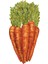 Carrots Table Accent - Pack Of 12 1
