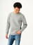 Regular Fit Erkek Sweatshirt 6