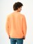 Regular Fit Erkek Sweatshirt 8