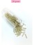 Uzun Boru Kesme Boncuk Çap 2mm Uzunluk 10 mm - 20 Gram - Şeffaf Bej - BNC237 1