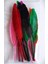 - Kuştüyü-16 cm -Kuş Tüyü Renkli 12 Li 1 Paket 16 cm Tüy Karışık Renk - Hobi - Okul Öncesi Kreş Anasınıfı Kuş Tüyü Renkli 2