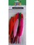 - Kuştüyü-16 cm -Kuş Tüyü Renkli 12 Li 1 Paket 16 cm Tüy Karışık Renk - Hobi - Okul Öncesi Kreş Anasınıfı Kuş Tüyü Renkli 3