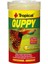Guppy Lepistes Balıkları Için Pul Balık Yemi 250 ml 50 gr 2