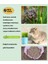 Kedi Çimi Tohumu 750 Gram 1