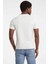 Erkek Logo Baskılı Slim Fit T-Shirt - Kırık Beyaz / Gri 3