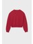 Kız Çocuk Nakış Işlemeli Kısa Kesim Sweatshirt - Kırmızı 2