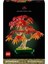 Botanicals Japon Kırmızı Akçaağaç Bonsai Ağacı 10348 3