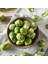 Erkenci Brüksel Lahanası Tohumu Brussel Sprouts Long Island 3
