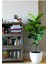 Keman Yapraklı Kauçuk / 80-100 cm / Ficus Lyrata / Popüler Bitki / Dolgun Formda 4