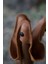 Impala Okladias Tabure 7