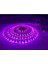 Rgb Şerit LED 5 Metre 16 Renk Kumandalı Tak Çalıştır 3 Çip 3 Direnç Slikonlu 12 Volt 5 Amper Adaptör 2
