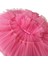 Tutu Fiyonklu Seker Pembe Dogumgunu Elbisesi 1