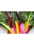 20 Adet Rainbow Swiss Pazı Tohumu 1