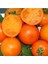 Mandarin Orange Domates Tohumu 1