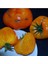 20 Adet Orlov's Yellow Giant Domates Tohumu 1