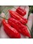 Kırmızı Bhut Jolokia Biber Tohumu 1