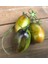 10 Adet Atomic Grape Heirloom Domates Tohumu 1