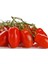 20 Adet Patio San Marzano Domates Tohumu 1