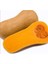5 Adet Pumpkin Butternut Sweet Bal Kabağı Tohumu 1