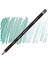 Coloursoft Pencil Yumuşak Kuruboya Kalemi C390 Grey Green 1