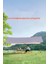 Glamping 500*300 cm Tarp Güneş ve Rüzgar Koruma Tentesi 3
