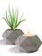 Altıgen Dekoratif Döküm Beton Saksı 16X17 cm 3