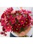 10 Adet Rubenza Cosmos Tohumu 1