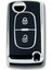 Lüx Peugeot 307 Citroen C3 2 Buton Sustalı Nano Anahtar Kılıfı Siyah Silver Gümüş Renk 1.ci Kailte 1