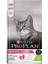 Delicate Kuzu Etli Yetişkin Kedi Maması 3kg 2