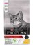 Tavuklu Yetişkin Kedi Maması 1,5kg 2