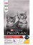 Kitten Tavuklu Yavru Kedi Maması 1,5kg 2