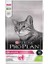 Delicate Kuzu Etli Yetişkin Kedi Maması 1,5kg 2