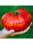 20 Adet Beefsteak Domates Tohumu 1