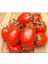 Roma Domates 15 Tohum 1