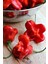 Hafif Acı Gül Biberi Starfish Pepper Tohumu / 5+ Adet Tohum 1