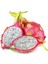 Pitaya Ejder Meyvesi Tohumu 10 Adet Tohum Pithaya Dragon Fruit 1