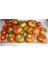 Agrobazaar Yayla Domates Tohumu 50 Adet Tohum 1