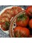 20 Adet Southern Nights Domates Tohumu 1